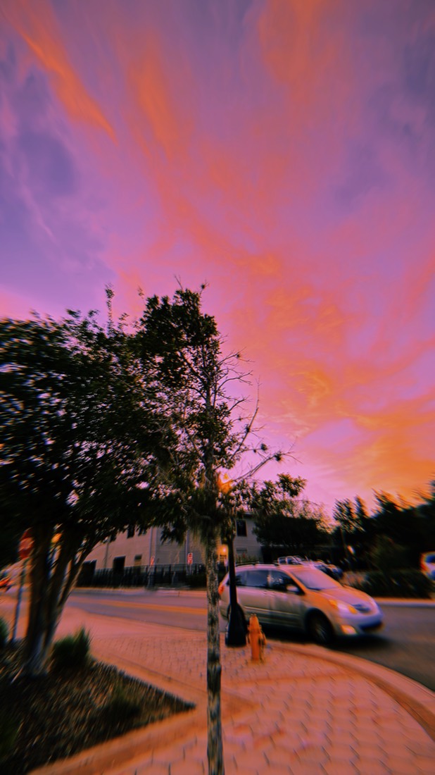 Photo shot with Liquid Lens: tree silhouette against an orange sunset